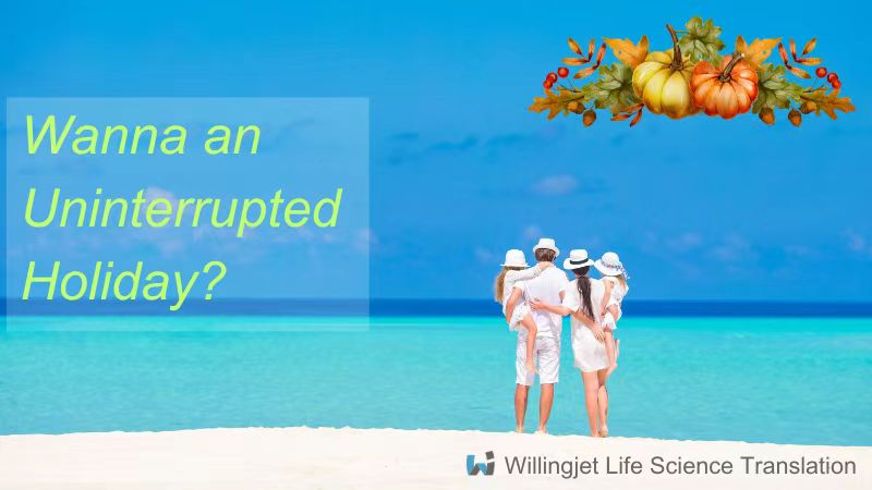 Why Choose WillingJet for Your Holiday Translation Needs