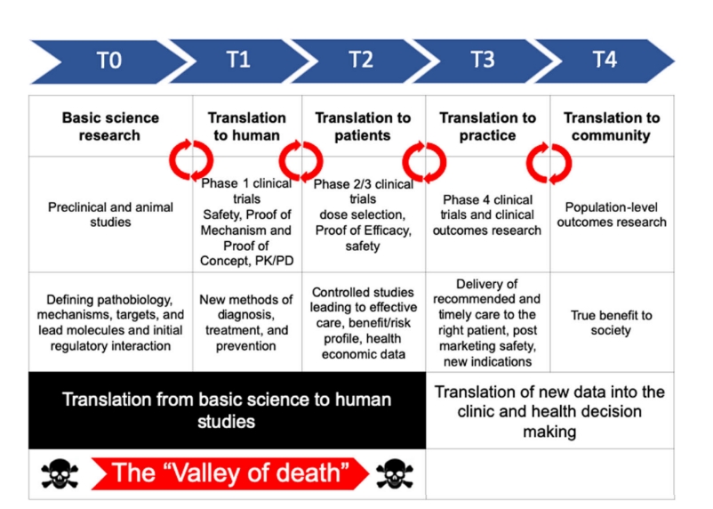How_poor_translation_can_delay_drug_development_03.png How_poor_translation_can_delay_drug_development_03.png