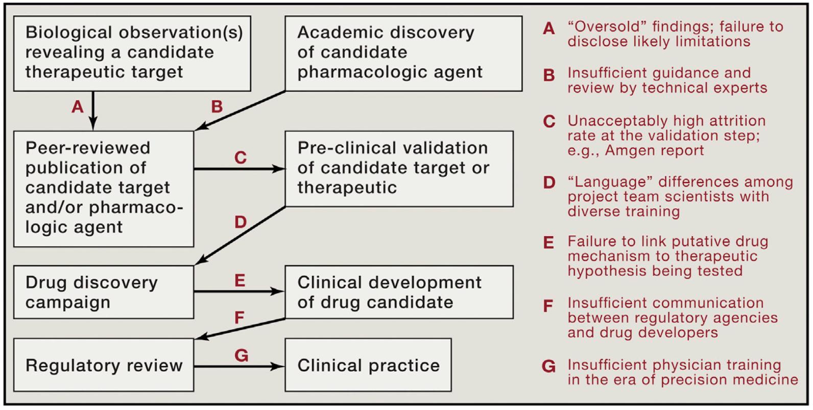 why-accurate-medical-interpretation-is-critical-in-each-phase-of-drug-development03.jpg why-accurate-medical-interpretation-is-critical-in-each-phase-of-drug-development03.jpg